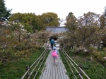 line_3805621866755557.jpg